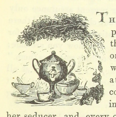 An illustration from The Vicar of Wakefield ... And a prefatory memoir by G. Moir Bussey ... Embellished with ... two hundred engravings on wood, etc, 1845, leaf 217