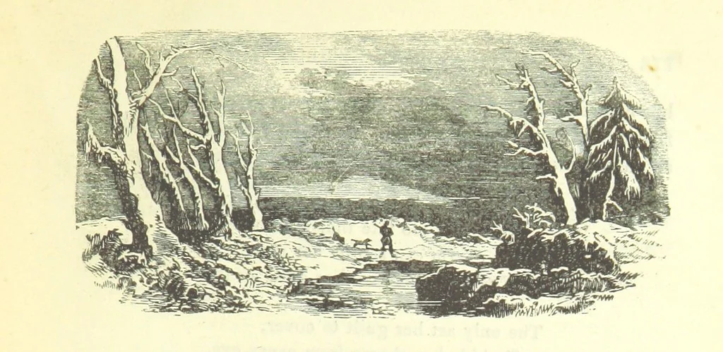 An illustration from The Vicar of Wakefield ... And a prefatory memoir by G. Moir Bussey ... Embellished with ... two hundred engravings on wood, etc, 1845, leaf 217