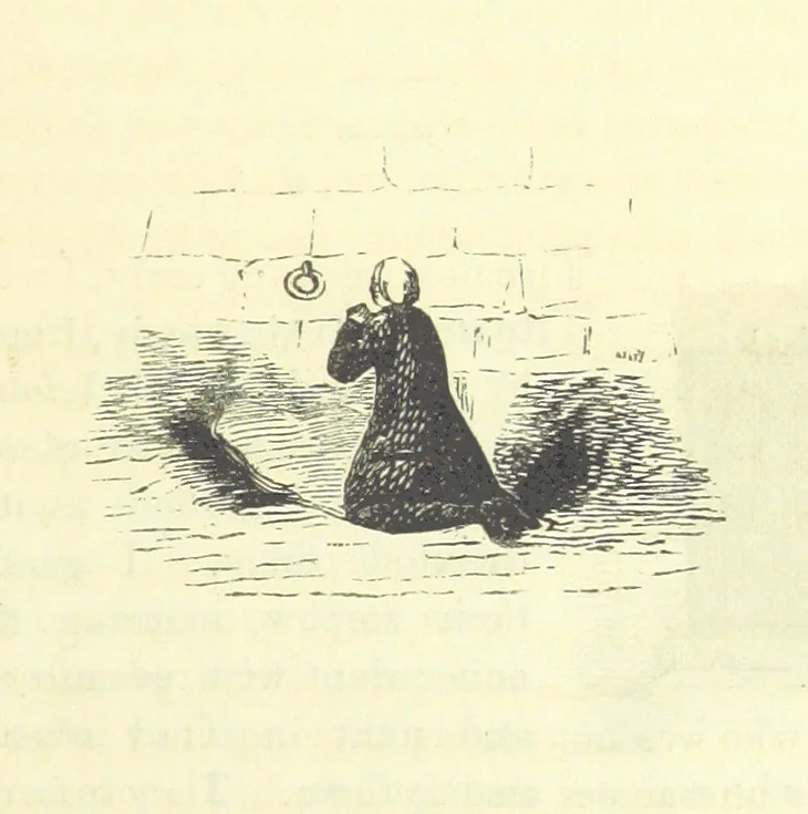 An illustration from The Vicar of Wakefield ... And a prefatory memoir by G. Moir Bussey ... Embellished with ... two hundred engravings on wood, etc, 1845, leaf 229