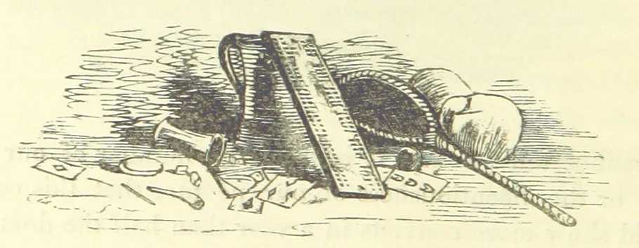 An illustration from The Vicar of Wakefield ... And a prefatory memoir by G. Moir Bussey ... Embellished with ... two hundred engravings on wood, etc, 1845, leaf 244