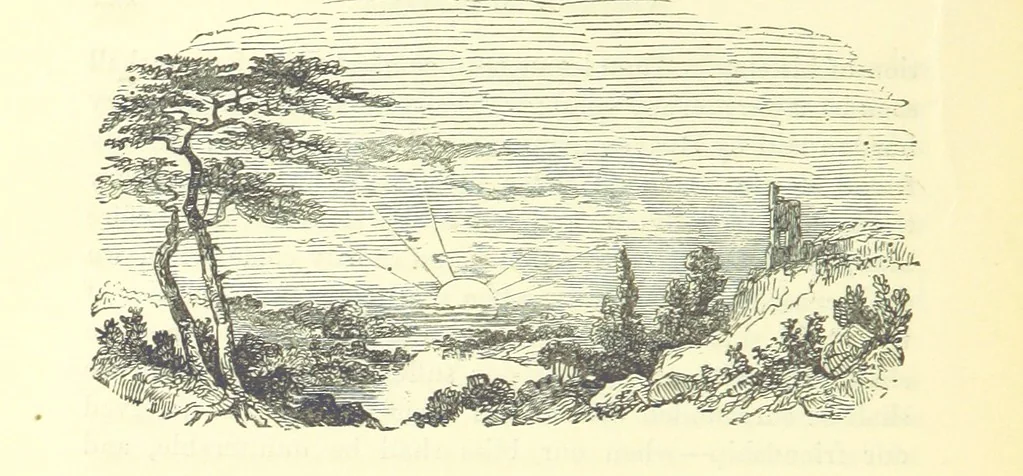 An illustration from The Vicar of Wakefield ... And a prefatory memoir by G. Moir Bussey ... Embellished with ... two hundred engravings on wood, etc, 1845, leaf 266
