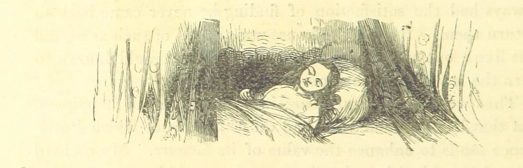 An illustration from The Vicar of Wakefield ... And a prefatory memoir by G. Moir Bussey ... Embellished with ... two hundred engravings on wood, etc, 1845, leaf 38