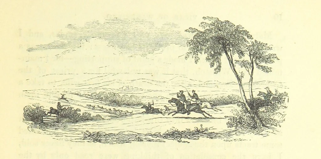 An illustration from The Vicar of Wakefield ... And a prefatory memoir by G. Moir Bussey ... Embellished with ... two hundred engravings on wood, etc, 1845, leaf 41