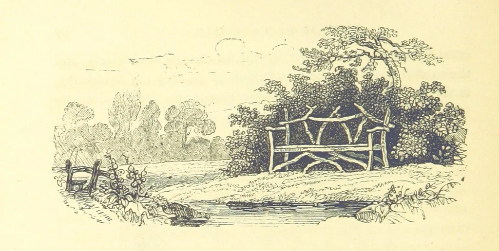 An illustration from The Vicar of Wakefield ... And a prefatory memoir by G. Moir Bussey ... Embellished with ... two hundred engravings on wood, etc, 1845, leaf 62