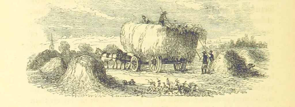 An illustration from The Vicar of Wakefield ... And a prefatory memoir by G. Moir Bussey ... Embellished with ... two hundred engravings on wood, etc, 1845, leaf 68