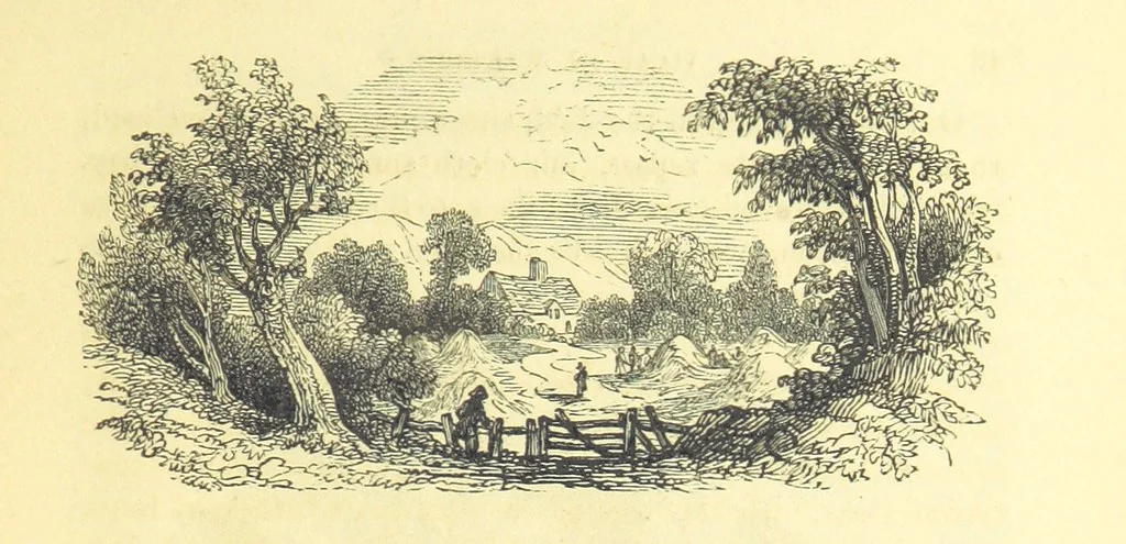 An illustration from The Vicar of Wakefield ... And a prefatory memoir by G. Moir Bussey ... Embellished with ... two hundred engravings on wood, etc, 1845, leaf 79
