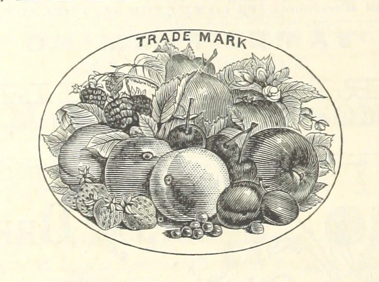 An illustration from 1776 American Enterprise. 1876. Burley's United States Centennial Gazetteer and Guide 1876 ... C. H. Kidder, editor, etc, 1876, leaf 720