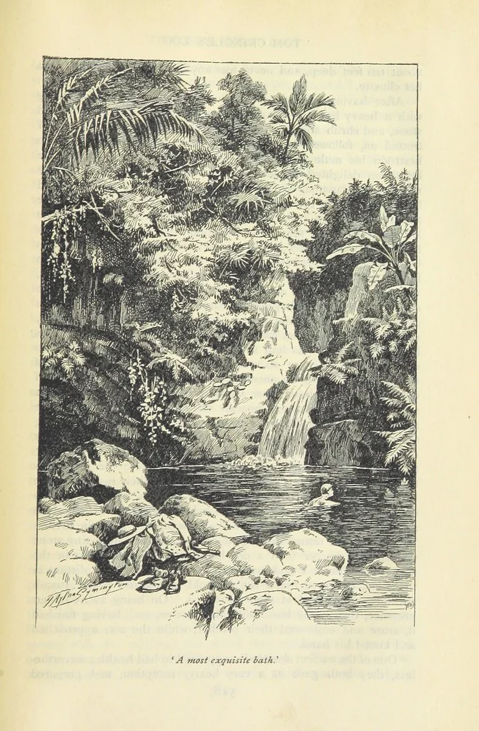 An illustration from Tom Cringle's log...Illustrated by J.A. Symington, etc, 1895, leaf 545