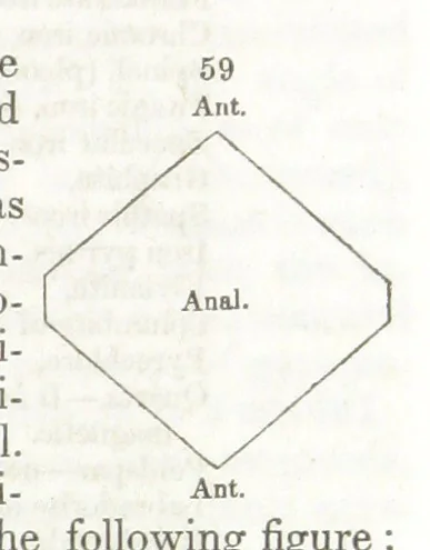 An illustration from A System of Mineralogy, comprising the most recent discoveries ... Third edition, rewritten, rearranged and enlarged, 1850, leaf 153