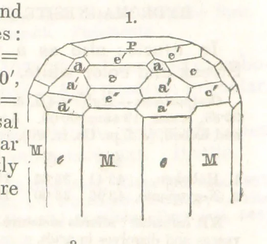 An illustration from A System of Mineralogy, comprising the most recent discoveries ... Third edition, rewritten, rearranged and enlarged, 1850, leaf 230
