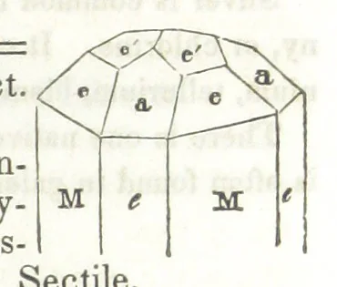 An illustration from A System of Mineralogy, comprising the most recent discoveries ... Third edition, rewritten, rearranged and enlarged, 1850, leaf 549