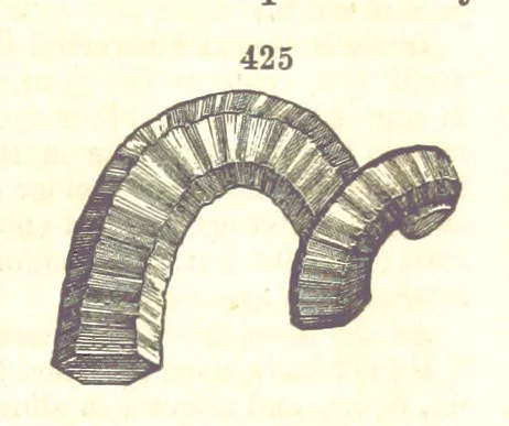 An illustration from A System of Mineralogy. Descriptive Mineralogy ... By J. D. Dana ... aided by George Jarvis Brush ... Fifth edition. Rewritten and enlarged, etc, 1868, leaf 557