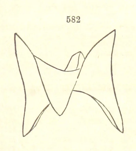 An illustration from A System of Mineralogy. Descriptive Mineralogy ... By J. D. Dana ... aided by George Jarvis Brush ... Fifth edition. Rewritten and enlarged, etc, 1868, leaf 745