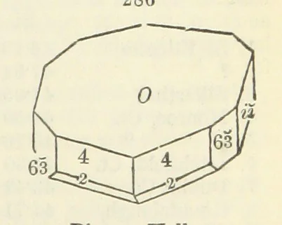 An illustration from A System of Mineralogy ... Fifth edition, rewritten and enlarged ... With three appendixes and corrections. (Appendix I., 1868-1872, by G. J. Brush. Appendix II., 1872-1875, and Appendix III., 1875-1882, by E. S. Dana.), 1883, leaf 365