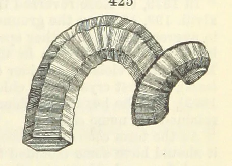 An illustration from A System of Mineralogy ... Fifth edition, rewritten and enlarged ... With three appendixes and corrections. (Appendix I., 1868-1872, by G. J. Brush. Appendix II., 1872-1875, and Appendix III., 1875-1882, by E. S. Dana.), 1883, leaf 557