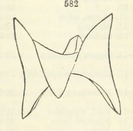 An illustration from A System of Mineralogy ... Fifth edition, rewritten and enlarged ... With three appendixes and corrections. (Appendix I., 1868-1872, by G. J. Brush. Appendix II., 1872-1875, and Appendix III., 1875-1882, by E. S. Dana.), 1883, leaf 745