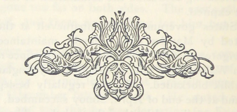 An illustration from History of the People of the Netherlands ... Translated by O. A. Bierstadt and Ruth Putnam, 1898, leaf 250