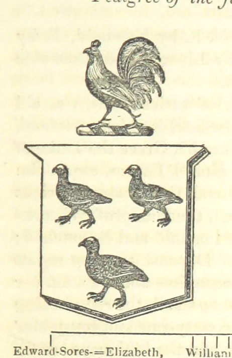 An illustration from The History and Gazetteer of the County of Derby: drawn up from actual observation, and the best authorities; containing a variety of geological, mineralogical, commercial and statistical information. Illustrated by a map of the county, and numerous copper-plate and wood engravings by the first artists. The materials collected by the publisher, S. Glover. Edited by Thomas Noble, 1831, leaf 189