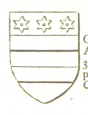An illustration from Magna Britannia; being a concise topographical account of the several counties of Great Britain. [With copious illustrations.] vol. 1-6. L.P, 1806, leaf 100