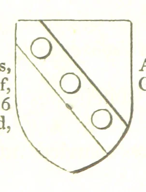 An illustration from Magna Britannia; being a concise topographical account of the several counties of Great Britain. [With copious illustrations.] vol. 1-6. L.P, 1806, leaf 100