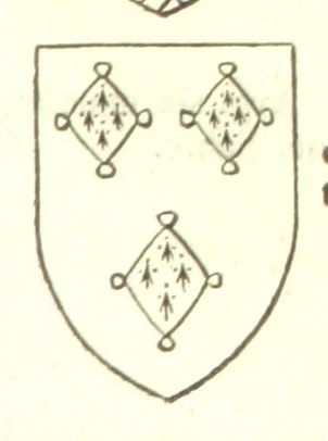 An illustration from Magna Britannia; being a concise topographical account of the several counties of Great Britain. [With copious illustrations.] vol. 1-6. L.P, 1806, leaf 103