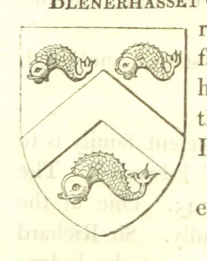 An illustration from Magna Britannia; being a concise topographical account of the several counties of Great Britain. [With copious illustrations.] vol. 1-6. L.P, 1806, leaf 105
