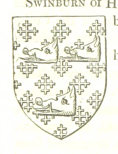 An illustration from Magna Britannia; being a concise topographical account of the several counties of Great Britain. [With copious illustrations.] vol. 1-6. L.P, 1806, leaf 110
