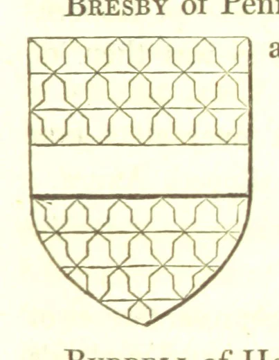 An illustration from Magna Britannia; being a concise topographical account of the several counties of Great Britain. [With copious illustrations.] vol. 1-6. L.P, 1806, leaf 113