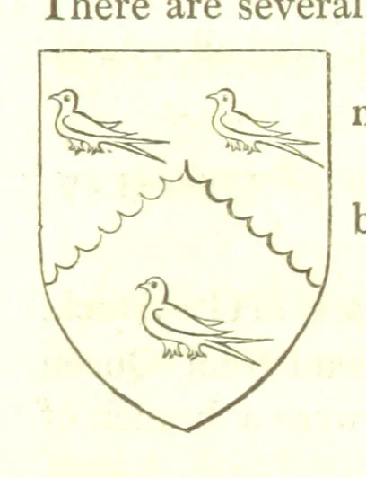 An illustration from Magna Britannia; being a concise topographical account of the several counties of Great Britain. [With copious illustrations.] vol. 1-6. L.P, 1806, leaf 115