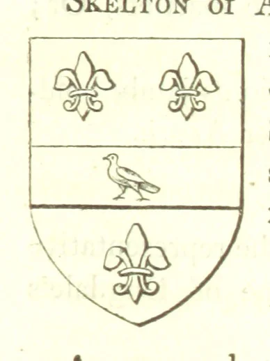 An illustration from Magna Britannia; being a concise topographical account of the several counties of Great Britain. [With copious illustrations.] vol. 1-6. L.P, 1806, leaf 117