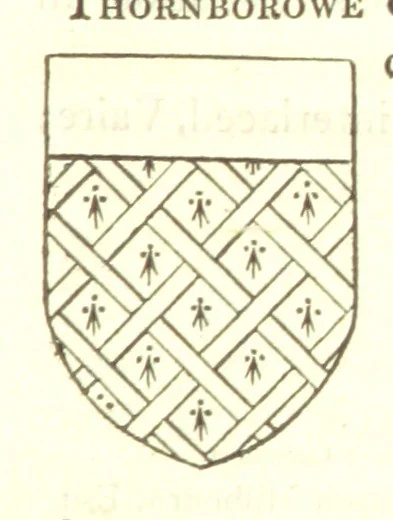 An illustration from Magna Britannia; being a concise topographical account of the several counties of Great Britain. [With copious illustrations.] vol. 1-6. L.P, 1806, leaf 117