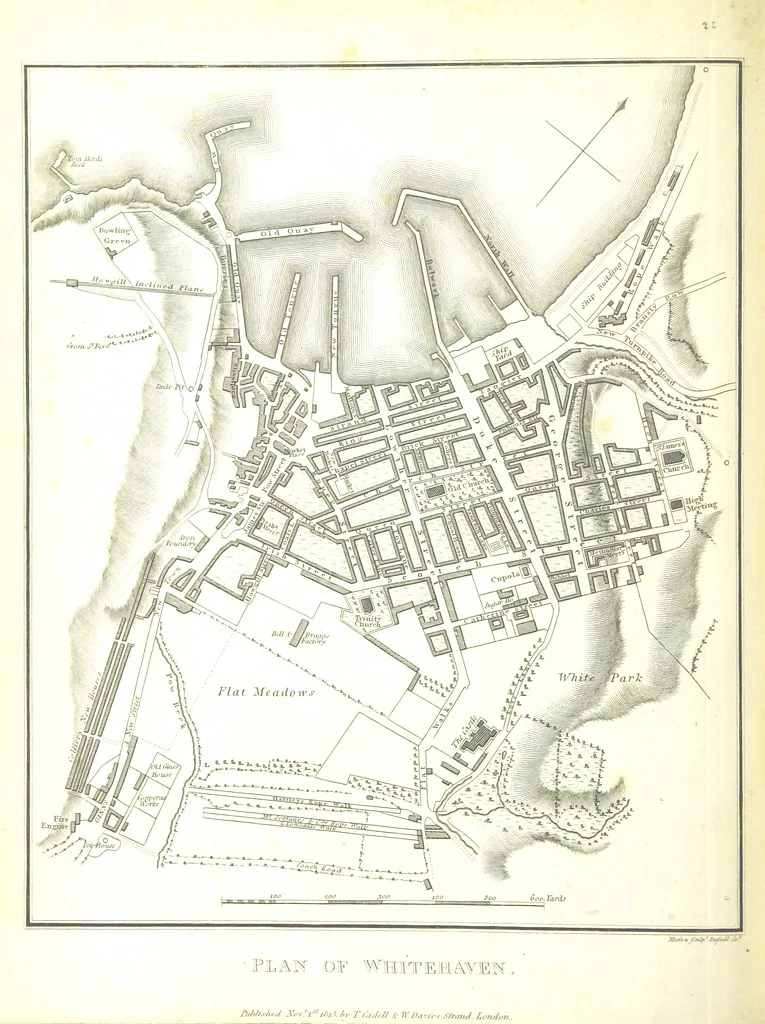 An illustration from Magna Britannia; being a concise topographical account of the several counties of Great Britain. [With copious illustrations.] vol. 1-6. L.P, 1806, leaf 320
