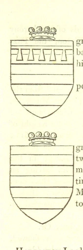 An illustration from Magna Britannia; being a concise topographical account of the several counties of Great Britain. [With copious illustrations.] vol. 1-6. L.P, 1806, leaf 83