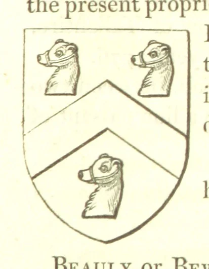 An illustration from Magna Britannia; being a concise topographical account of the several counties of Great Britain. [With copious illustrations.] vol. 1-6. L.P, 1806, leaf 89