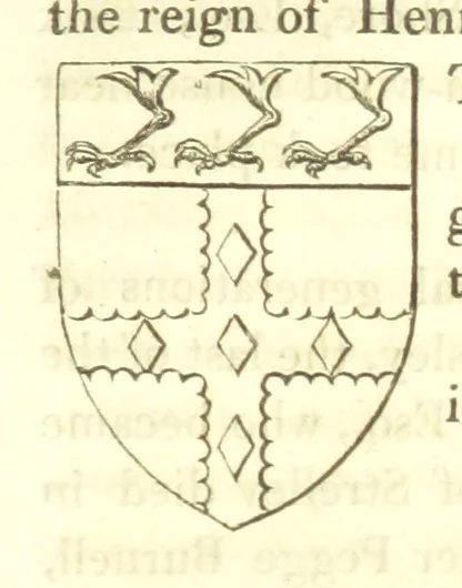 An illustration from Magna Britannia; being a concise topographical account of the several counties of Great Britain. [With copious illustrations.] vol. 1-6. L.P, 1806, leaf 111