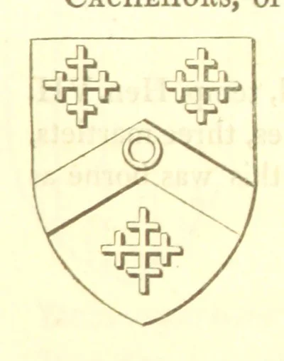 An illustration from Magna Britannia; being a concise topographical account of the several counties of Great Britain. [With copious illustrations.] vol. 1-6. L.P, 1806, leaf 119