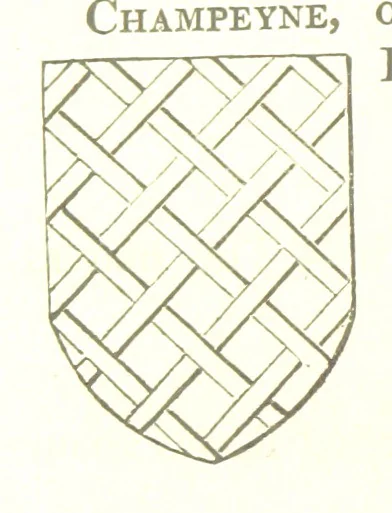 An illustration from Magna Britannia; being a concise topographical account of the several counties of Great Britain. [With copious illustrations.] vol. 1-6. L.P, 1806, leaf 120