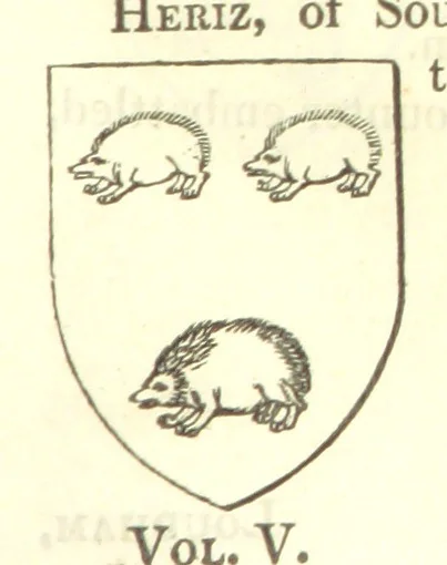 An illustration from Magna Britannia; being a concise topographical account of the several counties of Great Britain. [With copious illustrations.] vol. 1-6. L.P, 1806, leaf 123