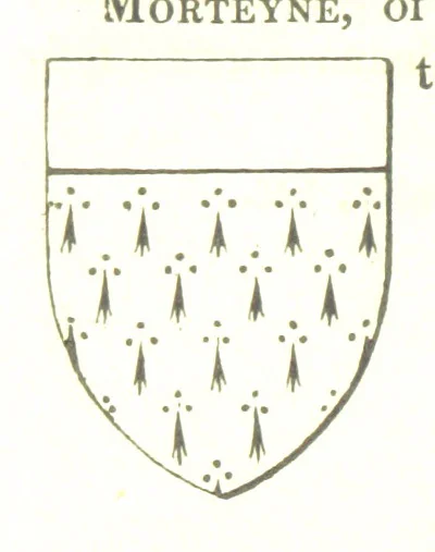 An illustration from Magna Britannia; being a concise topographical account of the several counties of Great Britain. [With copious illustrations.] vol. 1-6. L.P, 1806, leaf 126