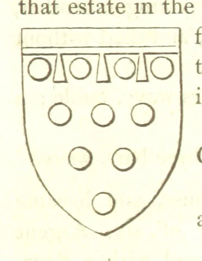 An illustration from Magna Britannia; being a concise topographical account of the several counties of Great Britain. [With copious illustrations.] vol. 1-6. L.P, 1806, leaf 133