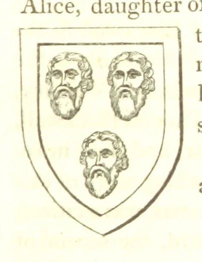 An illustration from Magna Britannia; being a concise topographical account of the several counties of Great Britain. [With copious illustrations.] vol. 1-6. L.P, 1806, leaf 135