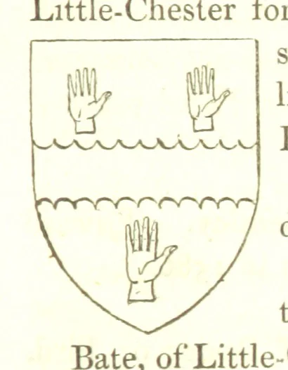 An illustration from Magna Britannia; being a concise topographical account of the several counties of Great Britain. [With copious illustrations.] vol. 1-6. L.P, 1806, leaf 135