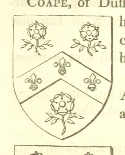 An illustration from Magna Britannia; being a concise topographical account of the several counties of Great Britain. [With copious illustrations.] vol. 1-6. L.P, 1806, leaf 141