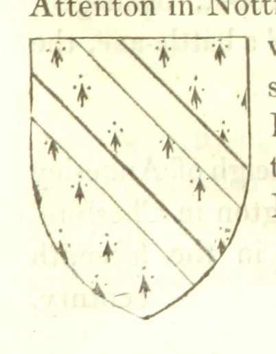 An illustration from Magna Britannia; being a concise topographical account of the several counties of Great Britain. [With copious illustrations.] vol. 1-6. L.P, 1806, leaf 151