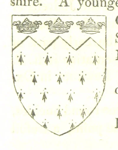 An illustration from Magna Britannia; being a concise topographical account of the several counties of Great Britain. [With copious illustrations.] vol. 1-6. L.P, 1806, leaf 152