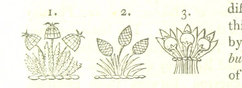 An illustration from Magna Britannia; being a concise topographical account of the several counties of Great Britain. [With copious illustrations.] vol. 1-6. L.P, 1806, leaf 154