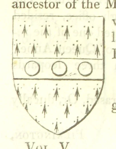An illustration from Magna Britannia; being a concise topographical account of the several counties of Great Britain. [With copious illustrations.] vol. 1-6. L.P, 1806, leaf 155