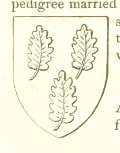 An illustration from Magna Britannia; being a concise topographical account of the several counties of Great Britain. [With copious illustrations.] vol. 1-6. L.P, 1806, leaf 163