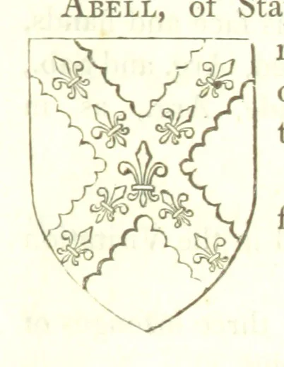 An illustration from Magna Britannia; being a concise topographical account of the several counties of Great Britain. [With copious illustrations.] vol. 1-6. L.P, 1806, leaf 171