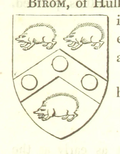 An illustration from Magna Britannia; being a concise topographical account of the several counties of Great Britain. [With copious illustrations.] vol. 1-6. L.P, 1806, leaf 173